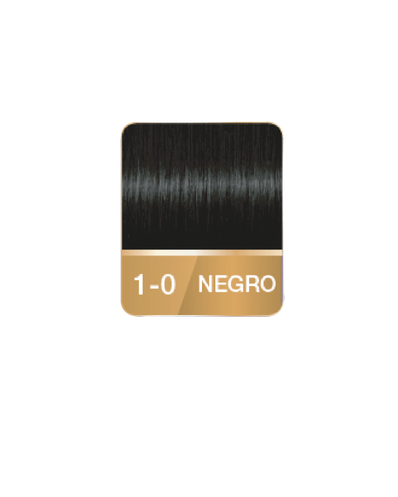 PALETTE NEGRO 1-0 X50 ML